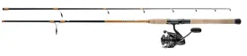 Daiwa Eliminator Surf Combo