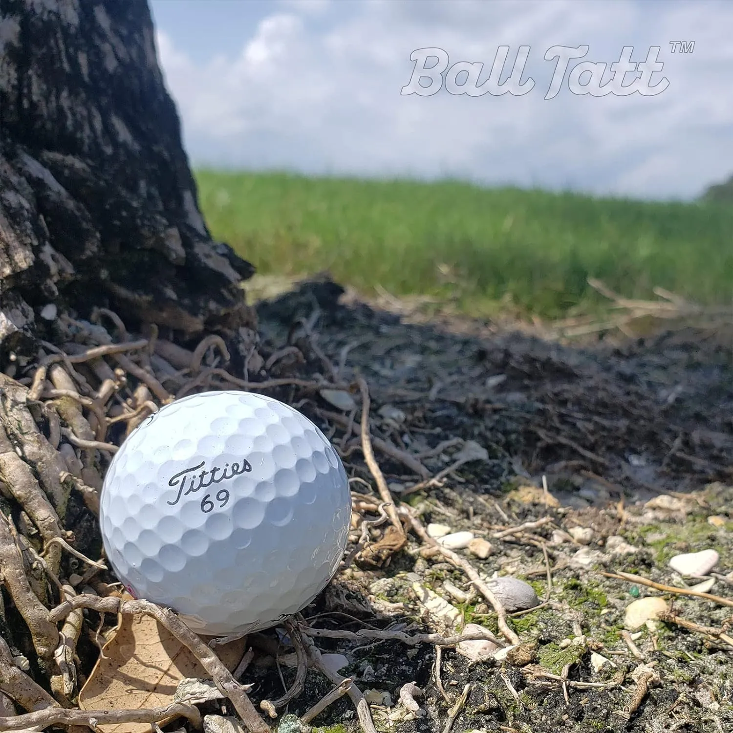 Golf Ball Stamp - Self-Inking Marker - Quick-Dry Permanent Marking Tool, No Leaks or Refills, Reusable & Waterproof Golfing Stamper - Ideal Gift for Golfers, Dads, (Golf Humor)