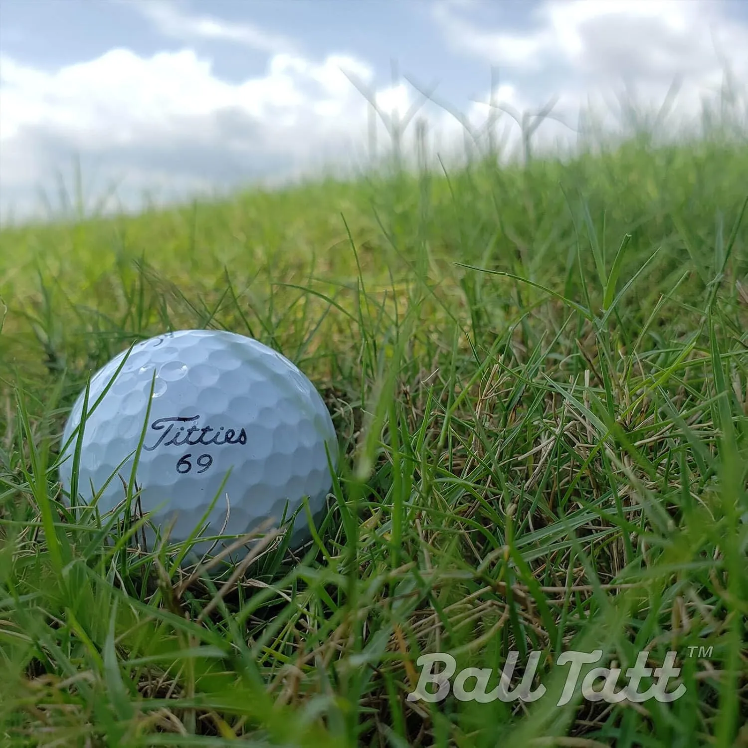 Golf Ball Stamp - Self-Inking Marker - Quick-Dry Permanent Marking Tool, No Leaks or Refills, Reusable & Waterproof Golfing Stamper - Ideal Gift for Golfers, Dads, (Golf Humor)