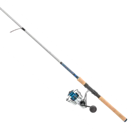 Quantum Strive Spinning Combo