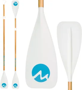 SUP Paddle Board Paddle, Paddle Board Cooler, Sup Cooler Deck Bag